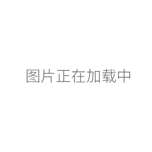 手提式高壓滅菌器手提式滅菌鍋消毒鍋YX-18HDD